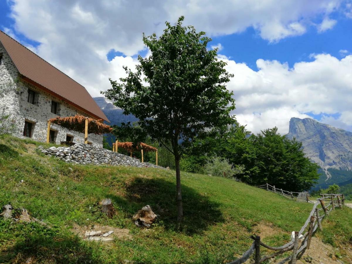 Guest House Panorama Theth Exteriér fotografie